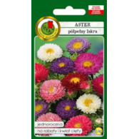 Aster półpełny Iskra 0,8g