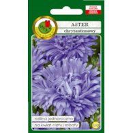 Aster Chryzantemowy Niebi. 0,8g