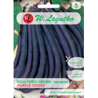 Fasola zwykła szp.karł. fioletow. Purple Teepe 40g