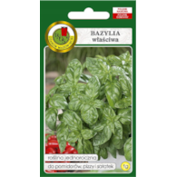 Bazylia wł.zielona genovese 1g