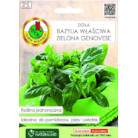 Bazylia właściwa zielona Genovese 1 g