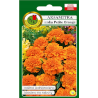 Aksamitka Petite orange 1g