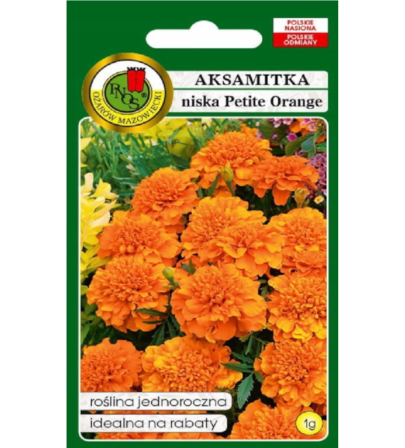 Aksamitka Petite orange 1g