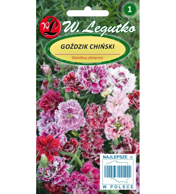 Goździk chiński mieszanka 1g