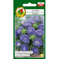 Aster Karłowy Niebieski 0.8g