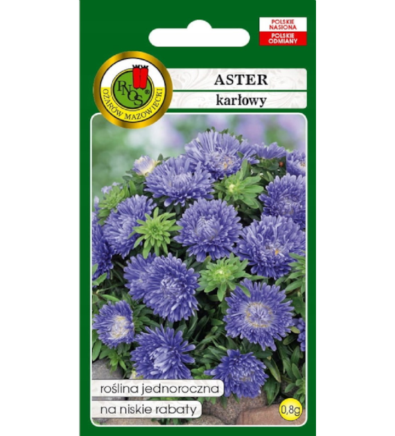 Aster Karłowy Niebieski 0.8g