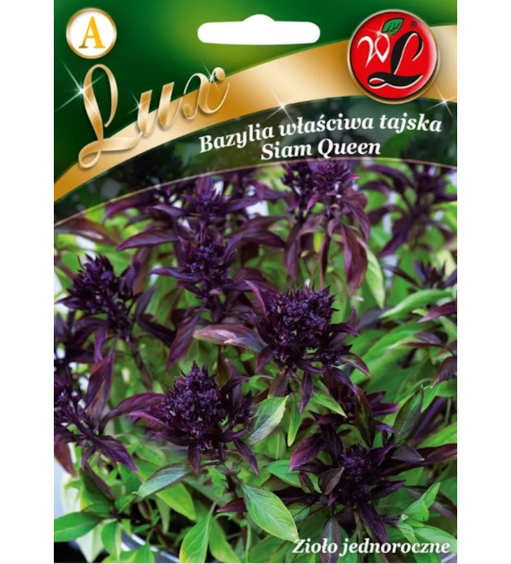 LUX Bazylia właściwa Thai Siam Queen 1g
