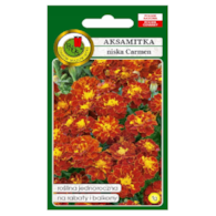 Aksamitka Carmen 1g