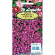 Lobelia przylądkowa, Stroiczka karmin-czer 0,1g