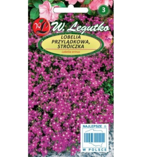 Lobelia przylądkowa, Stroiczka karmin-czer 0,1g