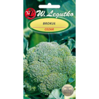 Brokuł Cezar - wczesna 2g ST DWZ