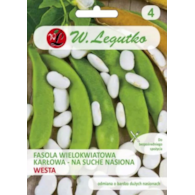 Fasola wielokw.karł. na suche nasiona Westa 40g ST