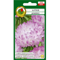 Aster Peoniowy Biał-Różow 0.8g