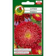 Aster książęcy czerwony 0,8g