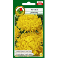 Aster peoniowy Żółty 0,8g