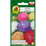 Aster peoniowy mieszany 0,8g