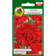 Aster Chryzantemowy Czerw. 0,8G