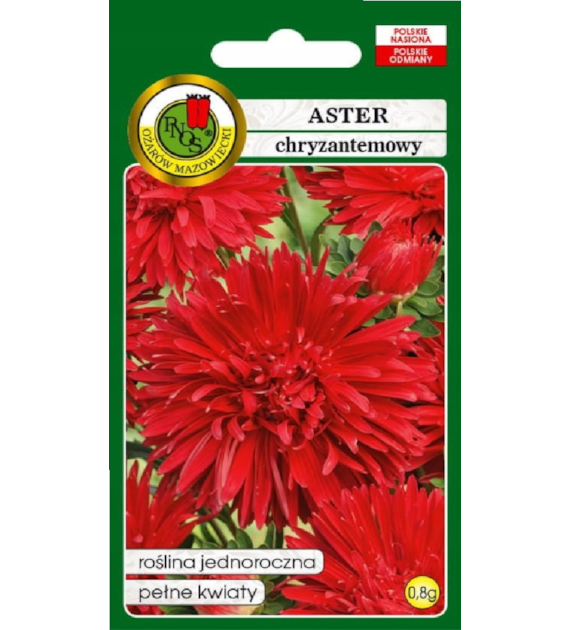 Aster Chryzantemowy Czerw. 0,8G