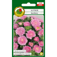 Aster Karłowy RÓŻOWY 0.8g