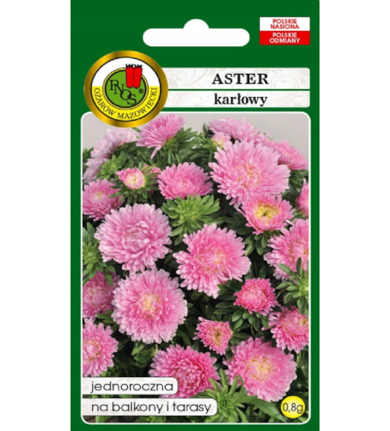 Aster Karłowy RÓŻOWY 0.8g