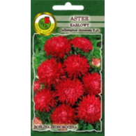 Aster Karłowy Czerwony 0.8g