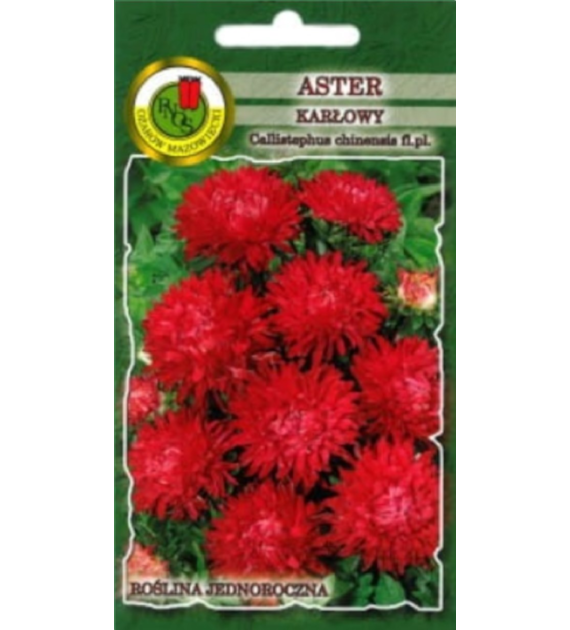 Aster Karłowy Czerwony 0.8g