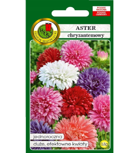 Aster Chryzantemowy miesz.0,8g